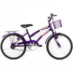 Bicicleta Feminina Dolphin Aro 20 Com Cesta E Garupa - Cor Violeta